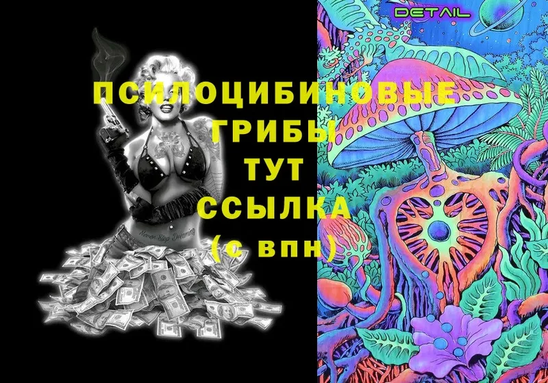 Галлюциногенные грибы Psilocybine cubensis  Артёмовский 